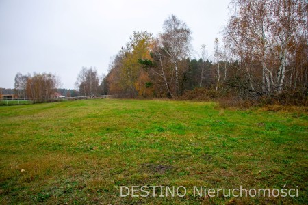 atrakcyjna działka o powierzchni ok 4000 m2 Wolica -  Wolica  -
Zdjęcie nr 2