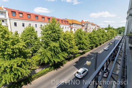 komfortowy lokal użytkowy do wynajęcia w centrum Kalisza - Kalisz   -
Zdjęcie nr 11