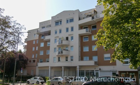 Ładny lokal w nowym budynku - Kalisz   -
Zdjęcie nr 14