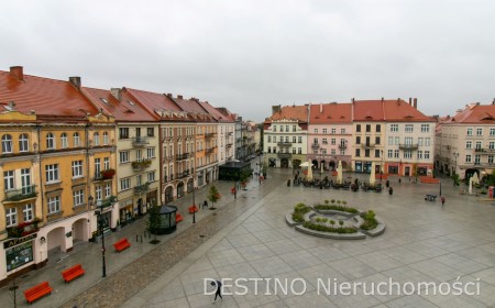 działka budowlana 4020 m2 Wolica  Szałe -  Wolica  -
Zdjęcie nr 12