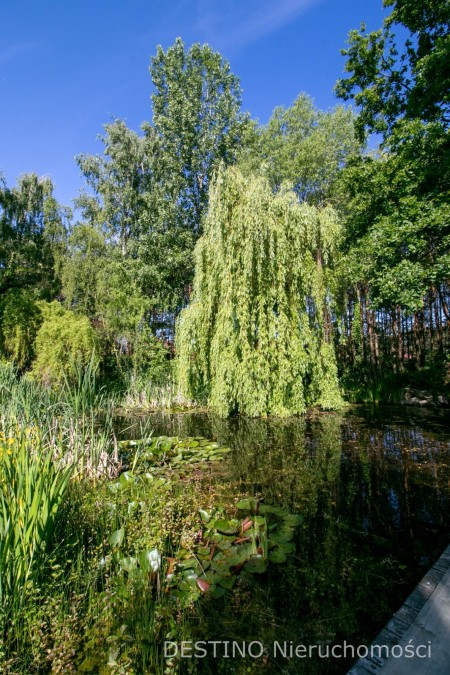 na sprzedaż dom typu rezydencja - Wolica pod Kaliszem -  Wolica  -
Zdjęcie nr 11